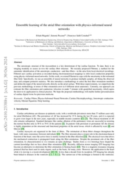 Ensemble learning of the atrial fiber orientation with physics-informed
  neural networks