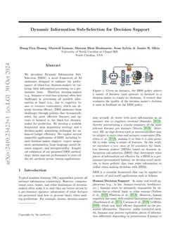 Dynamic Information Sub-Selection for Decision Support