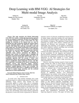 Deep Learning with HM-VGG: AI Strategies for Multi-modal Image Analysis