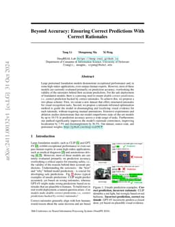 Beyond Accuracy: Ensuring Correct Predictions With Correct Rationales