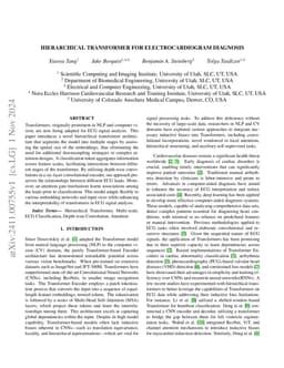 Hierarchical Transformer for Electrocardiogram Diagnosis