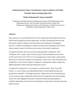 Enhancing Brain Tumor Classification Using TrAdaBoost and
  Multi-Classifier Deep Learning Approaches