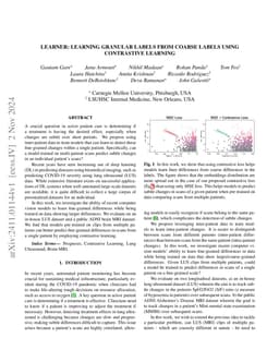 LEARNER: Learning Granular Labels from Coarse Labels using Contrastive
  Learning