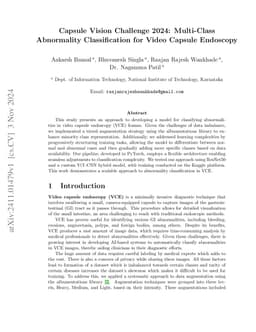 Capsule Vision Challenge 2024: Multi-Class Abnormality Classification
  for Video Capsule Endoscopy