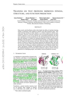 Training on test proteins improves fitness, structure, and function
  prediction