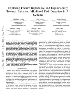Exploring Feature Importance and Explainability Towards Enhanced
  ML-Based DoS Detection in AI Systems