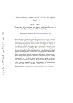 A Subsampling Based Neural Network for Spatial Data
