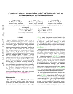 AMNCutter: Affinity-Attention-Guided Multi-View Normalized Cutter for
  Unsupervised Surgical Instrument Segmentation
