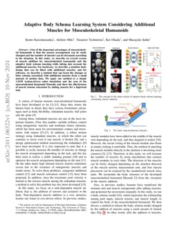 Adaptive Body Schema Learning System Considering Additional Muscles for
  Musculoskeletal Humanoids