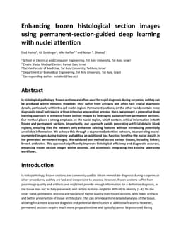 Enhancing frozen histological section images using
  permanent-section-guided deep learning with nuclei attention