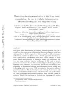 Maximizing domain generalization in fetal brain tissue segmentation: the
  role of synthetic data generation, intensity clustering and real image
  fine-tuning
