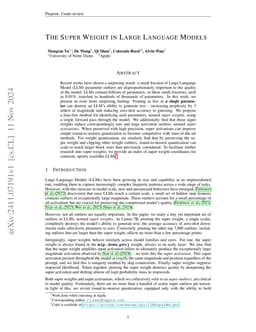 The Super Weight in Large Language Models