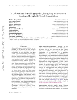 MLV$^2$-Net: Rater-Based Majority-Label Voting for Consistent Meningeal
  Lymphatic Vessel Segmentation