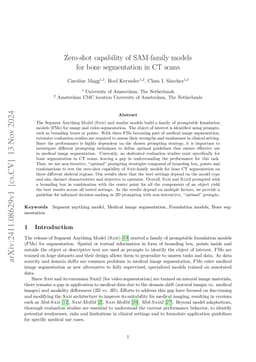 Zero-shot capability of SAM-family models for bone segmentation in CT
  scans