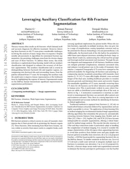 Leveraging Auxiliary Classification for Rib Fracture Segmentation