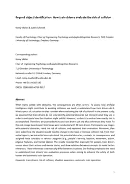 Beyond object identification: How train drivers evaluate the risk of
  collision