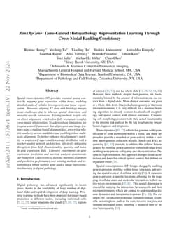 RankByGene: Gene-Guided Histopathology Representation Learning Through Cross-Modal Ranking Consistency