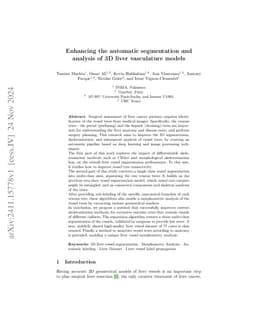 Enhancing the automatic segmentation and analysis of 3D liver vasculature models