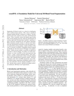 vesselFM: A Foundation Model for Universal 3D Blood Vessel Segmentation