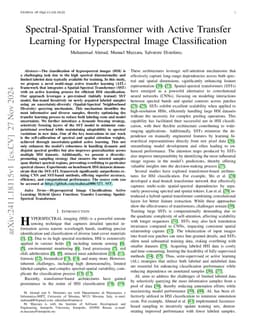 Spectral-Spatial Transformer with Active Transfer Learning for
  Hyperspectral Image Classification