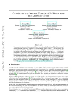 Convolutional Neural Networks Do Work with Pre-Defined Filters