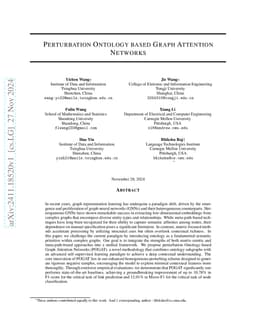 Perturbation Ontology based Graph Attention Networks