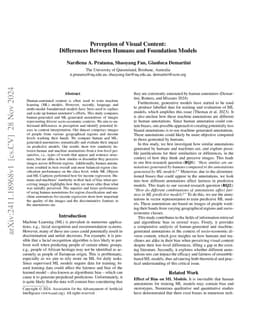 Perception of Visual Content: Differences Between Humans and Foundation Models