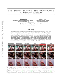 Explaining the Impact of Training on Vision Models via Activation Clustering