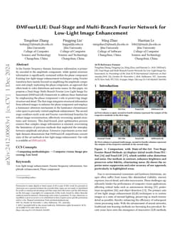 DMFourLLIE: Dual-Stage and Multi-Branch Fourier Network for Low-Light
  Image Enhancement