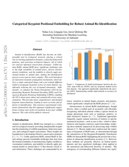 Categorical Keypoint Positional Embedding for Robust Animal
  Re-Identification
