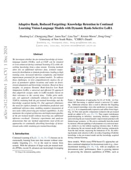 Adaptive Rank, Reduced Forgetting: Knowledge Retention in Continual Learning Vision-Language Models with Dynamic Rank-Selective LoRA