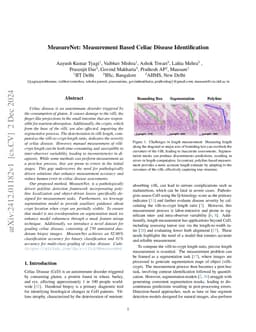 MeasureNet: Measurement Based Celiac Disease Identification