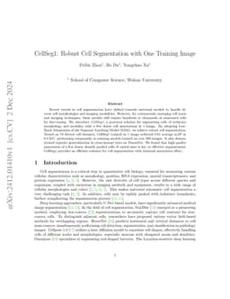 CellSeg1: Robust Cell Segmentation with One Training Image