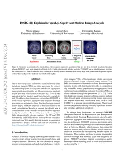 INSIGHT: Explainable Weakly-Supervised Medical Image Analysis