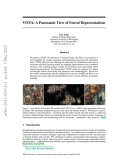 VISTA: A Panoramic View of Neural Representations