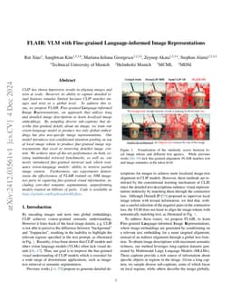 FLAIR: VLM with Fine-grained Language-informed Image Representations