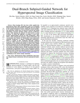 Dual-Branch Subpixel-Guided Network for Hyperspectral Image
  Classification