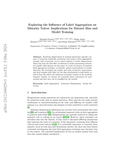 Exploring the Influence of Label Aggregation on Minority Voices:
  Implications for Dataset Bias and Model Training