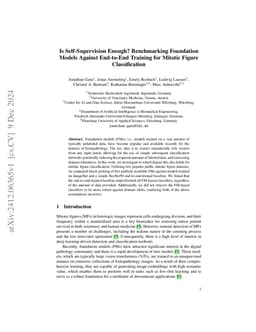 Is Self-Supervision Enough? Benchmarking Foundation Models Against
  End-to-End Training for Mitotic Figure Classification