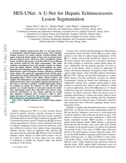 HES-UNet: A U-Net for Hepatic Echinococcosis Lesion Segmentation