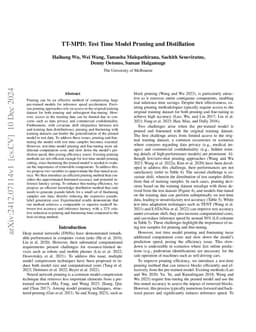 TT-MPD: Test Time Model Pruning and Distillation