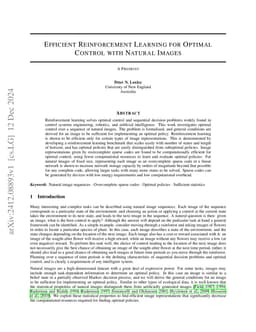 Efficient Reinforcement Learning for Optimal Control with Natural Images