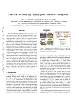 CATALOG: A Camera Trap Language-guided Contrastive Learning Model