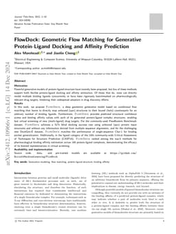FlowDock: Geometric Flow Matching for Generative Protein-Ligand Docking and Affinity Prediction