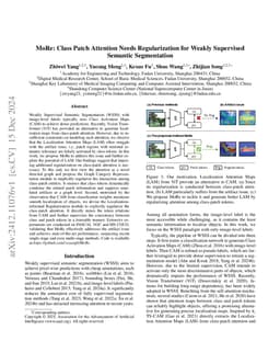 MoRe: Class Patch Attention Needs Regularization for Weakly Supervised Semantic Segmentation