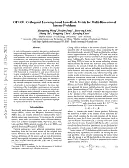 OTLRM: Orthogonal Learning-based Low-Rank Metric for Multi-Dimensional
  Inverse Problems