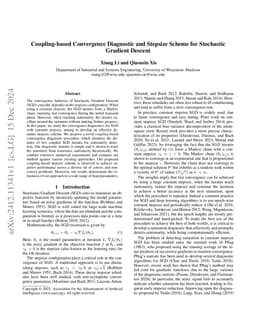 Coupling-based Convergence Diagnostic and Stepsize Scheme for Stochastic
  Gradient Descent