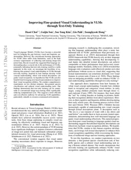 Improving Fine-grained Visual Understanding in VLMs through Text-Only
  Training