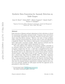 Synthetic Data Generation for Anomaly Detection on Table Grapes
