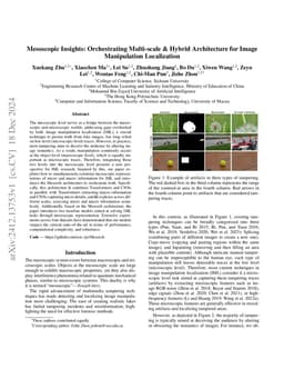 Mesoscopic Insights: Orchestrating Multi-scale & Hybrid Architecture for
  Image Manipulation Localization
